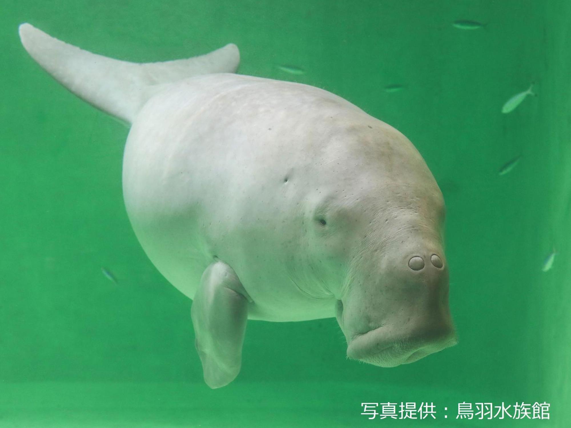湯快リゾート　伊勢・志摩　志摩彩朝楽 志摩市 エクステリア 写真